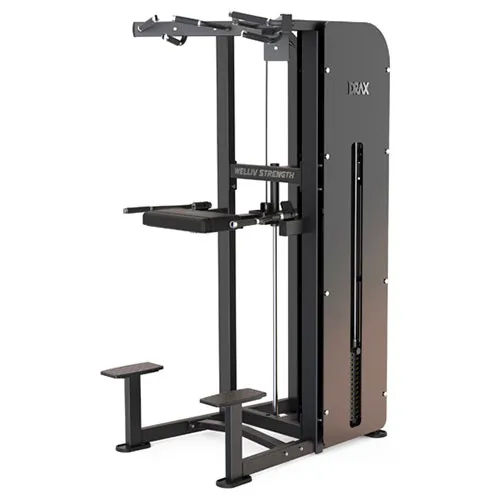 Подтягивания/отжимания с помощью DRAX TWMA308