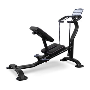 Купить Bronze Gym BR-1006 в Москве