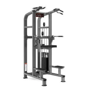 Гравитрон Realleader PF-1008