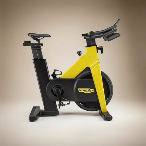 Сайкл Technogym Group Cycle Connect