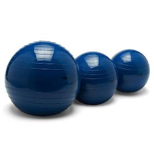 Купить Technogym Waterball	 в Москве