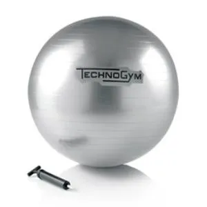 Мяч для фитнеса Technogym Wellness Ball 55 см A0000147AA