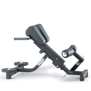 Technogym Lower Back Bench Pure