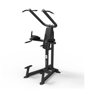 Купить Пресс / Брусья / Турник Spirit Fitness SP-4219 Подтягивания/брусья/поднятие ног в Москве