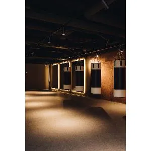 Targex Боксерский мешок VINTAGE TB901