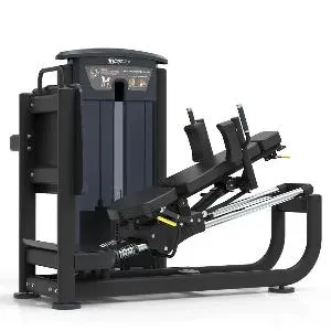 Жим ногами / Гак-машина 2 в 1 (профессиональный) Aerofit Impulse IT9539