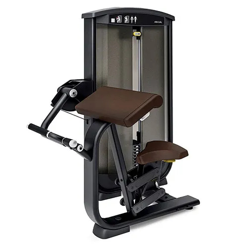 Бицепс (сгибание рук) Intenza BASE EL-01