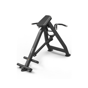 Купить Нагружаемый дисками тренажер Spirit Fitness SP-4231 T-образная тяга с упором в грудь в Москве