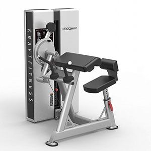Купить Грузоблочный тренажер на верхнюю часть тела Kraft Fitness Бицепс/ трицепс сидя KFDXBT в Москве