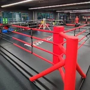 Ринг боксерский в раме Targex 500х500