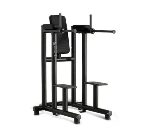 Стойка пресс/брусья Technogym Leg Raise Dip