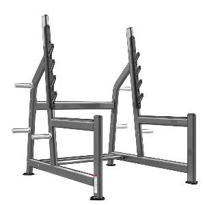 Стойка для жима и приседаний Realleader FW-1018