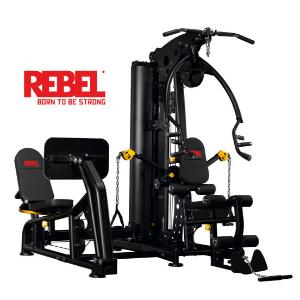 Купить Мультистанция Rebel Fitness G9LP RHG09LP Многофункциональный тренажер с жимом ногами  в Москве