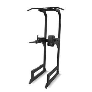 Купить Пресс / Брусья / Турник Bronze Gym AL-310 в Москве