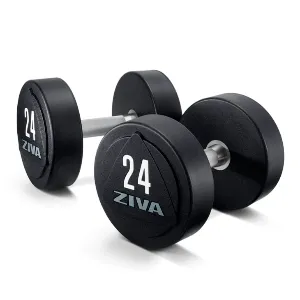 Гантели уретановые Ziva ZVO-DBPU-1660 48 кг (пара)