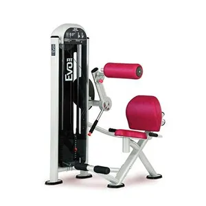 Разгибание спины Panatta Fit Evo 1FE005