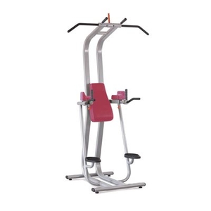 Купить Пресс / Брусья / Турник Panatta Fit Evo 1FE211 в Москве