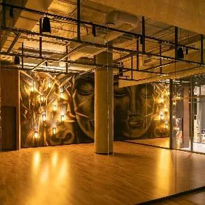 Подвесная система для антигравити йоги Targex Модель 4