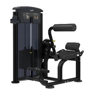 Разгибание спины Aerofit Impulse IT9532