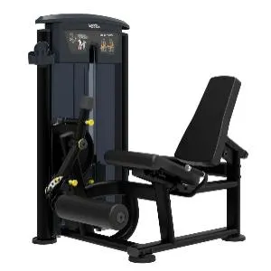 Разгибание ног Aerofit Impulse IT9505