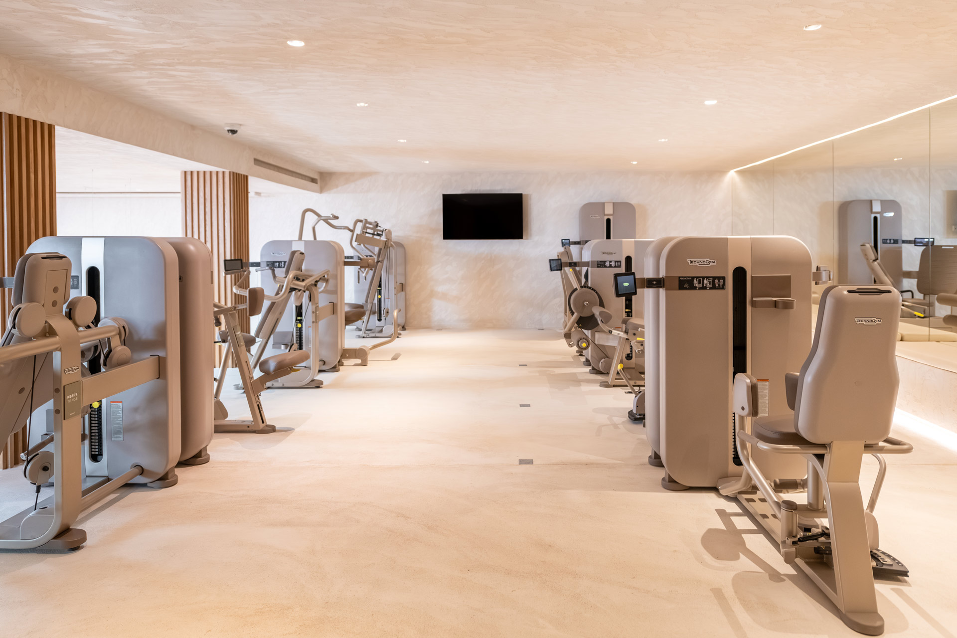 Эллиптический тренажер Technogym Artis Luxury Vario