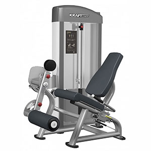 Купить Грузоблочный тренажер на нижнюю часть тела Kraft Fitness Разгибание ног KFDELE в Москве