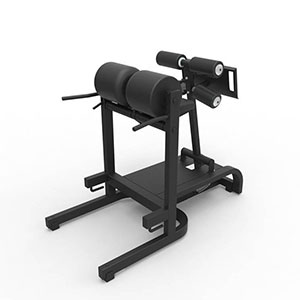 Силовой тренажер Technogym Glute – Ham-Developer