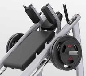 Купить Нагружаемый дисками тренажер Matrix Fitness MAGNUM MG-PL71 Гакк-приседания в Москве