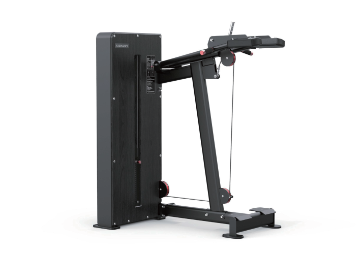 Икры стоя Xenjoy Standing Calf Machine