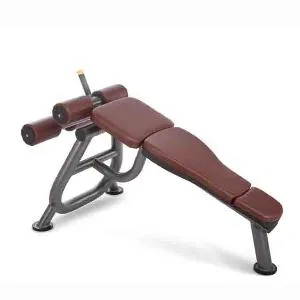 Римский стул (скамья для пресса) Oxide Fitness С040