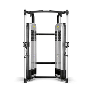 DAP Technogym Dual Adjustable Pulley Performance