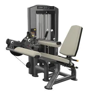 Сгибание ног сидя True Fitness SPL-0200
