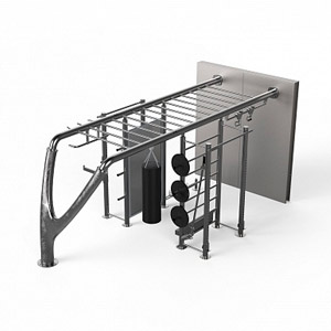 Купить Уличный тренажер MyEquilibria MYBEAST POWER RACK WALL в Москве