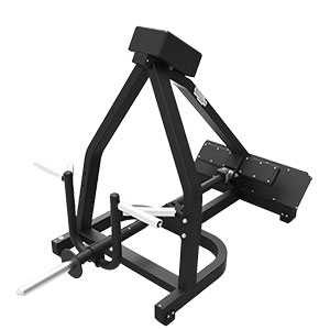 Купить Нагружаемый дисками тренажер Technogym PURE STRENGTH T Bar Row в Москве
