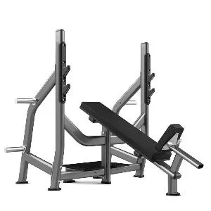 Скамья для жима с положительным углом наклона Realleader FW-1002