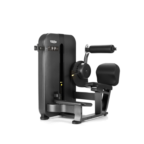 Гиперэкстензия Technogym Artis Lower Back