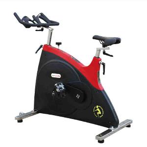 Велотренажер Pangolin Fitness 7010 (Speenbike) вертикальный 