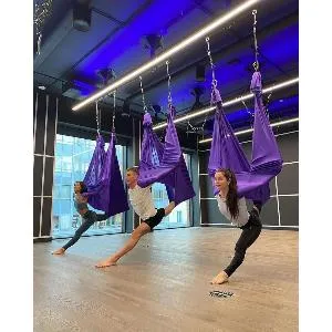 Кронштейн Targex DOUBLE MOUNT (опуск 300мм)