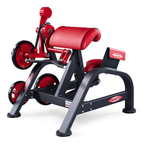 Нагружаемый дисками тренажер Panatta FreeWeight Special 1FW151