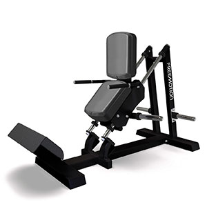 Купить Нагружаемый дисками тренажер Freemotion Fitness Epic EF222 в Москве