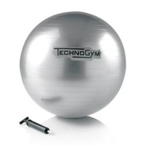 Купить Technogym Мяч Wellness  в Москве