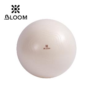 Bloom Мяч для йоги 65 см (анти-разрывной белый) LB7051-1