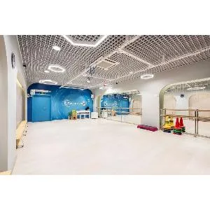 Подвесная система для антигравити йоги Targex Модель 2