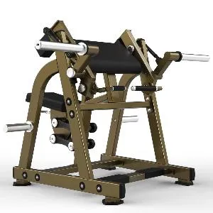 Бицепс сидя Realleader LD-1005 (HSPro-1005) (на свободных весах)