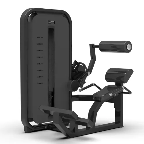 Разгибание спины Bronze Gym MIGHT 23 профессиональный