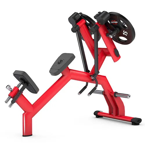 Задняя дельта с независимыми рычагами Gym80 4344 (50мм)