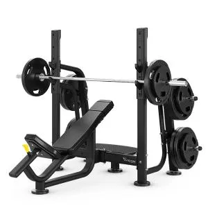 Олимпийская скамья с наклоном вверх Vision Fitness VST600-FW79