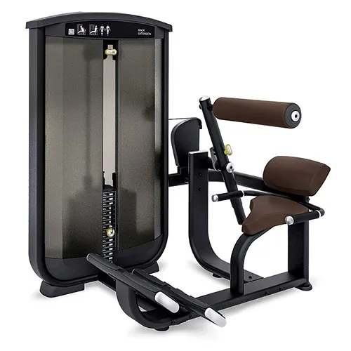 Разгибание спины Intenza BASE EL-05