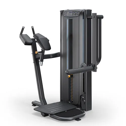 Ягодичные мышцы Matrix Fitness Versa VS-S78