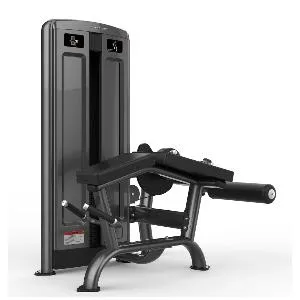 Сгибание ног лежа Realleader M7Pro-2009